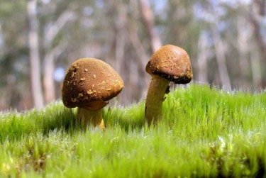 珠海斗门区10私人老板放款：轻松融资的秘密通道